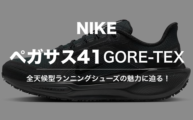 ナイキ ペガサス 41 Gore-tex